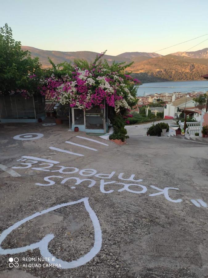 Apartament Elenh House Argostoli  Zewnętrze zdjęcie