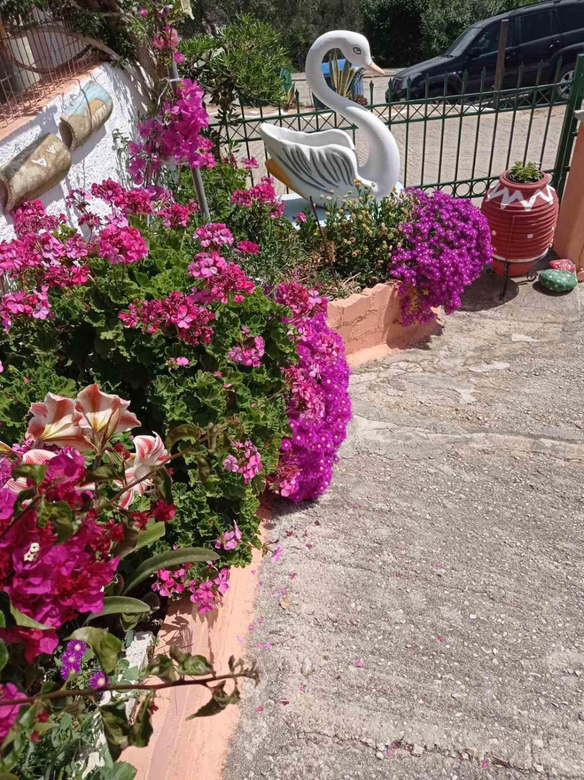 Apartament Elenh House Argostoli  Zewnętrze zdjęcie